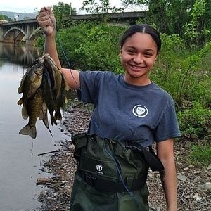 Meet your Posher, Richard